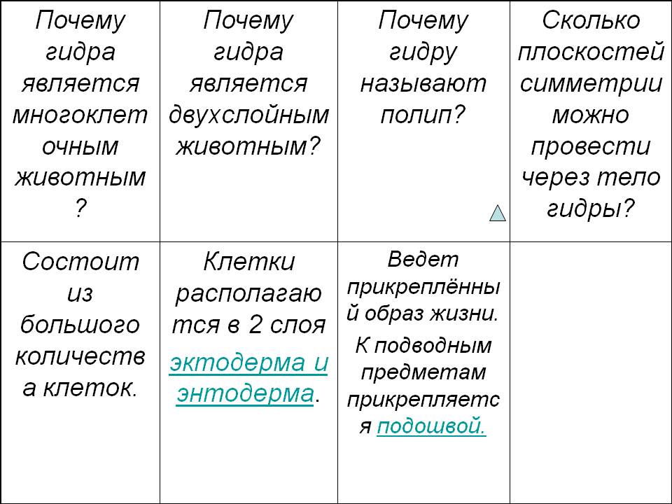 Ссылка кракен зеркало тор