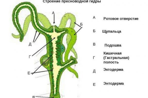 Кракен площадка нарко