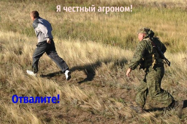 Даркнет ссылка