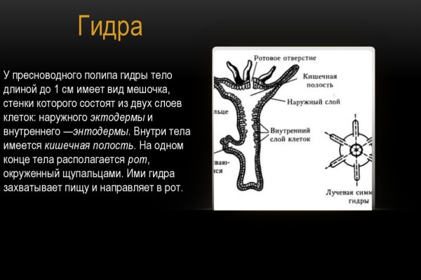 Кракен ссылка тупа германия