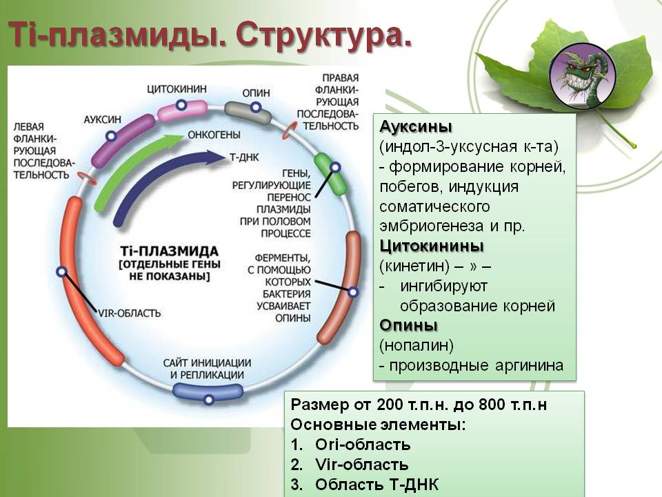 Ссылка адрес на кракен