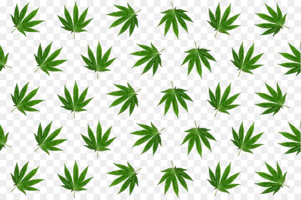 Кракен маркет kr2web in