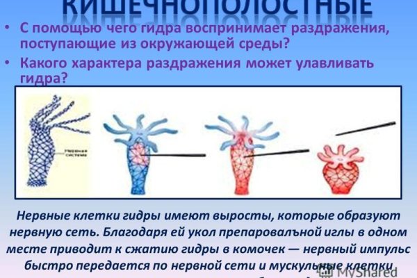 Кракен закладки