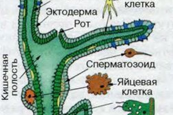 Ссылки на даркнет сайты