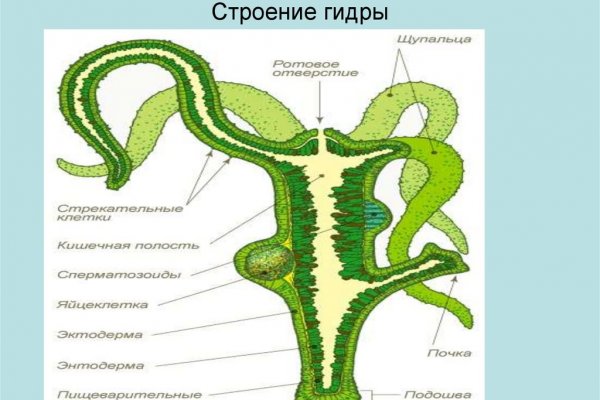 Кракен регистрация