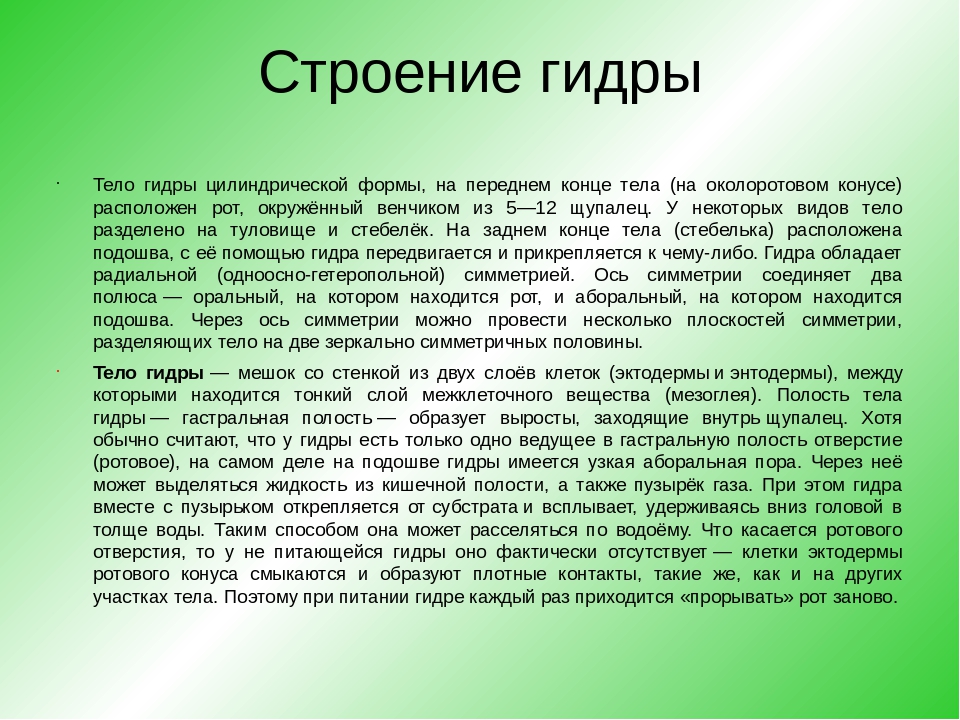 Kra40.cc Вход на сайт главная страница